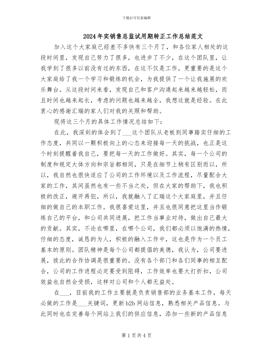 2024年实销售总监试用期转正工作总结范文_第1页
