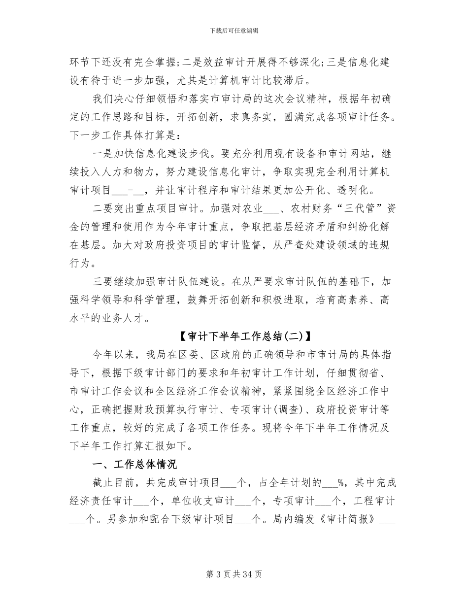 2024年审计下半年工作总结_第3页