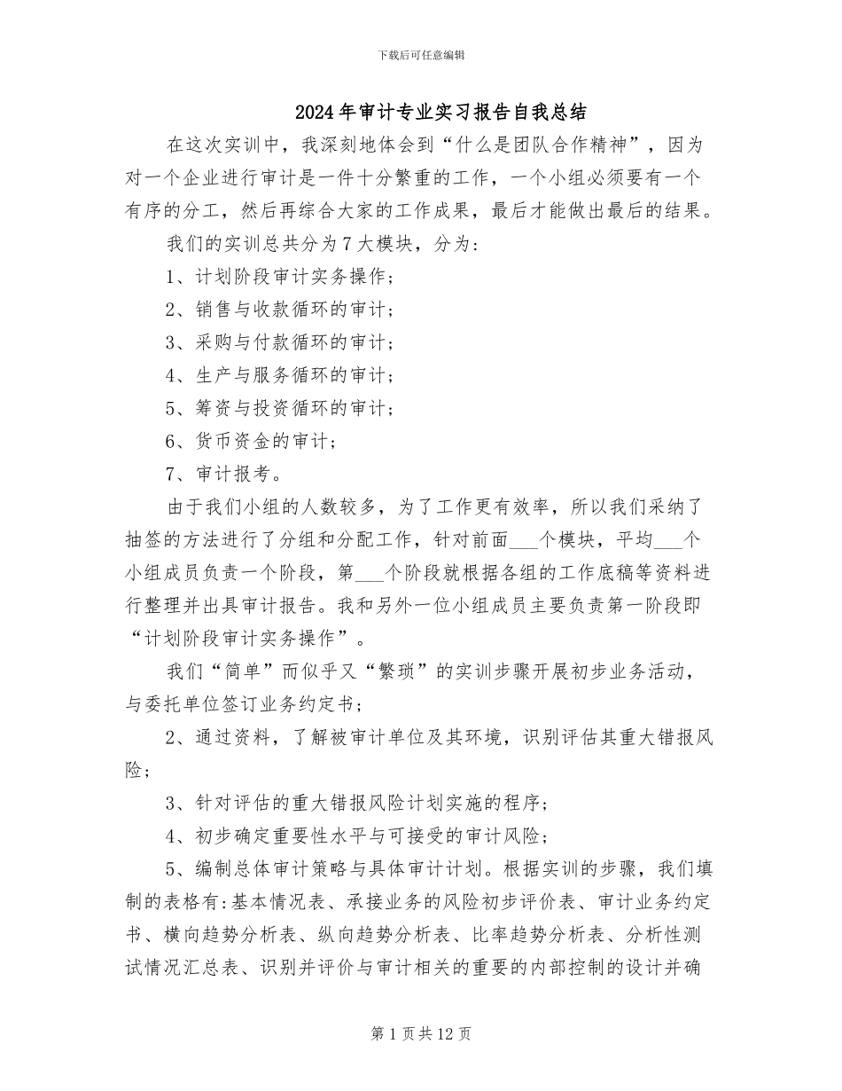 2024年审计专业实习报告自我总结_第1页