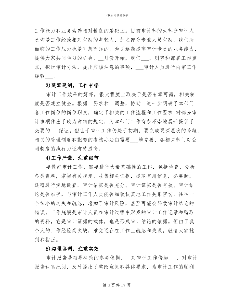 2024年审计个人总结_第3页