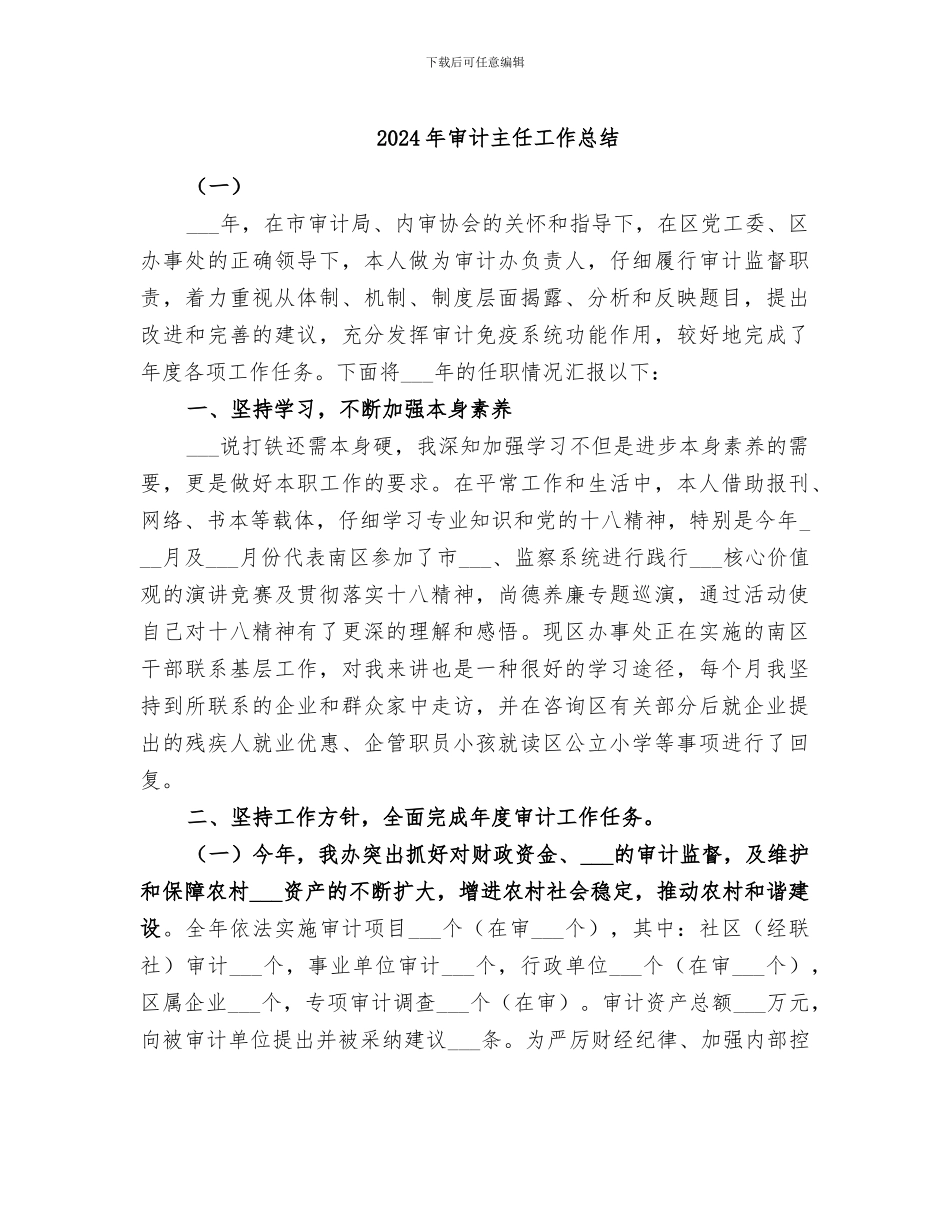 2024年审计主任工作总结_第1页