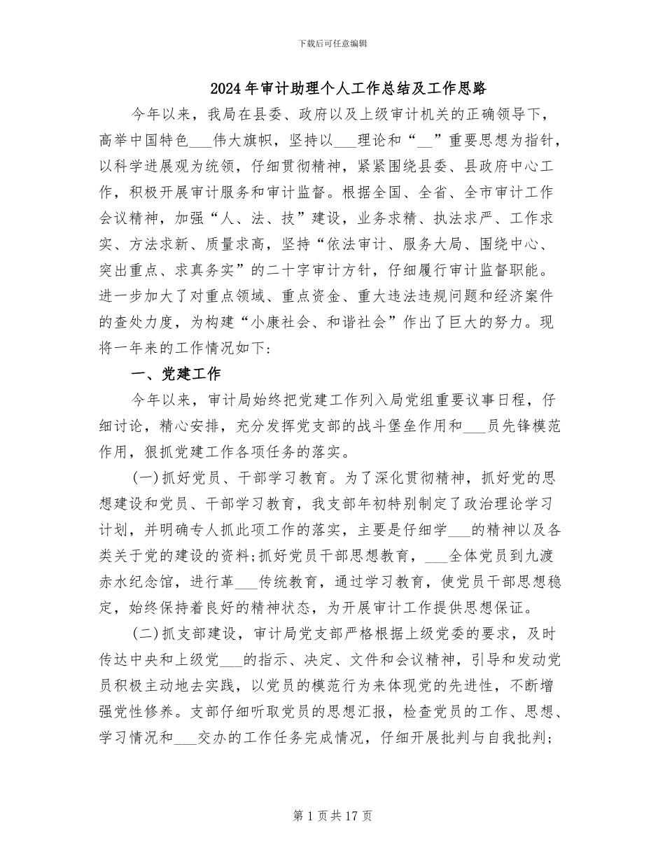 2024年审计助理个人工作总结及工作思路_第1页