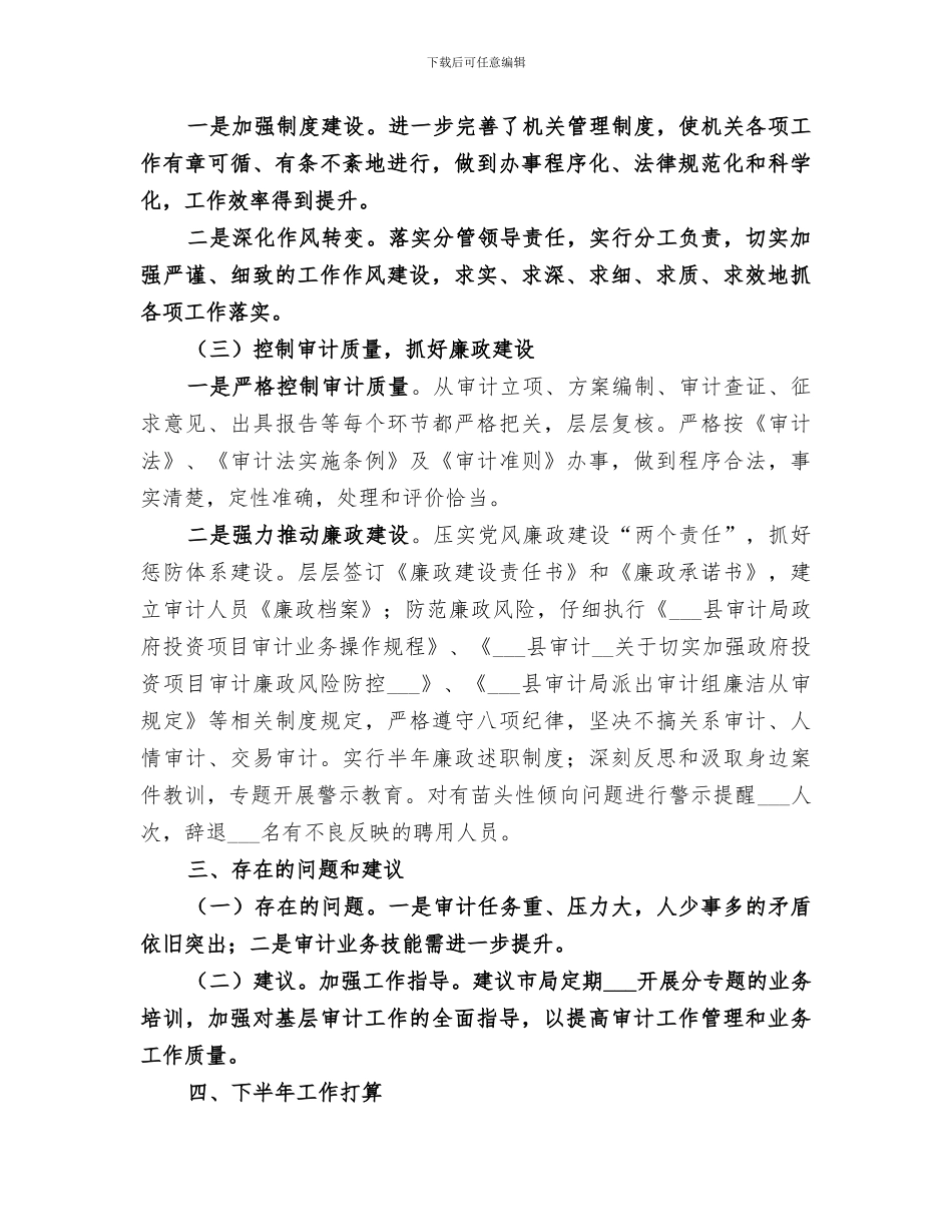 2024年审计局年中工作总结_第3页