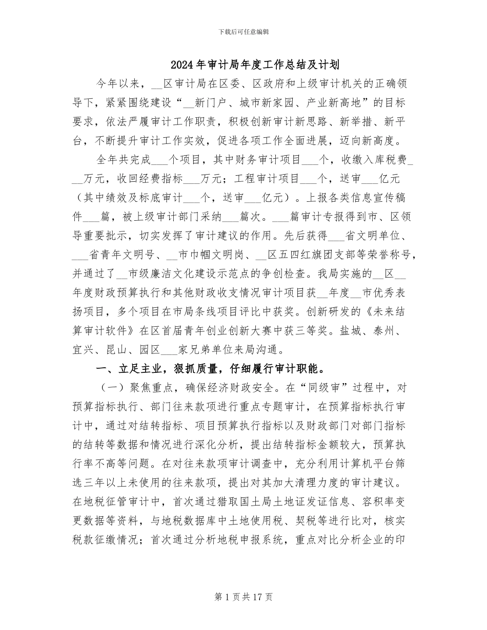 2024年审计局年度工作总结及计划_第1页