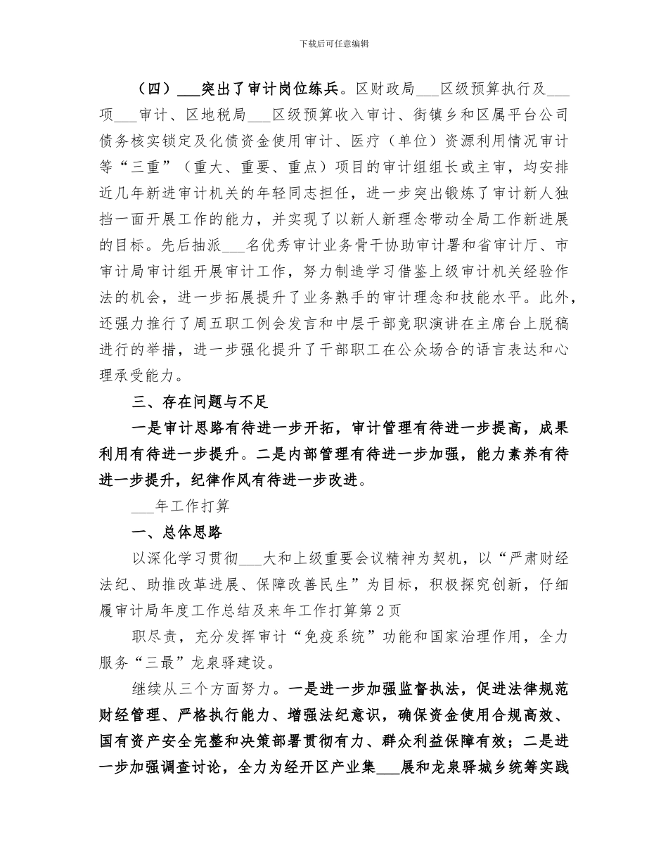 2024年审计局年度工作总结及来年工作打算_第3页