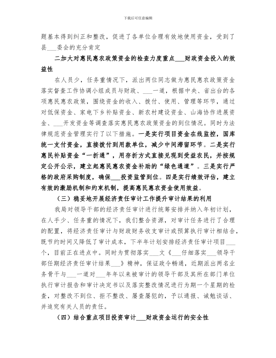 2024年审计工作半年总结_第2页