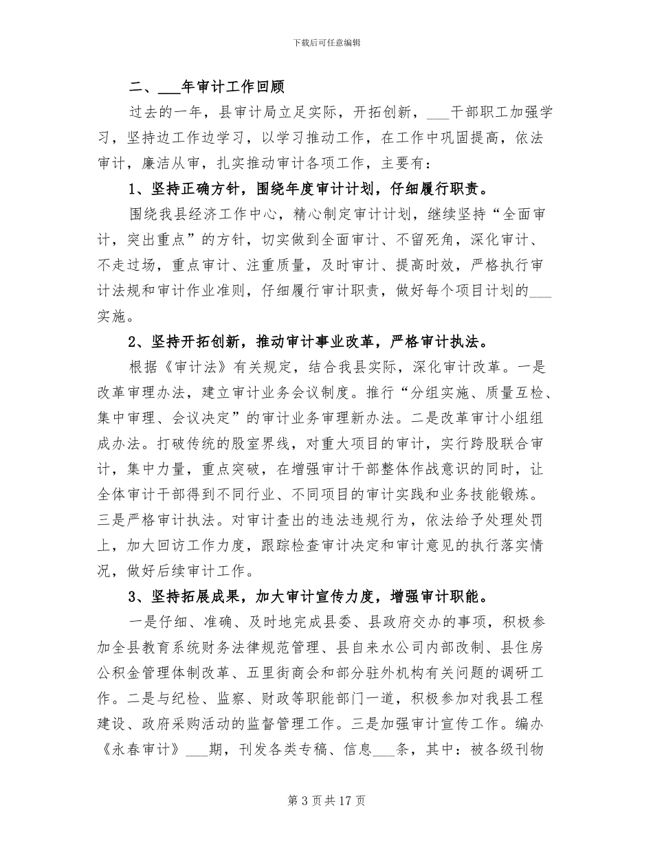 2024年审计年终工作总结_第3页