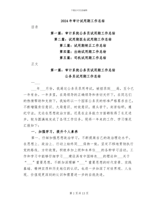 2024年审计试用期工作总结