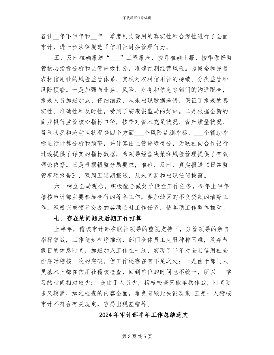2024年审计部半年工作总结_第3页