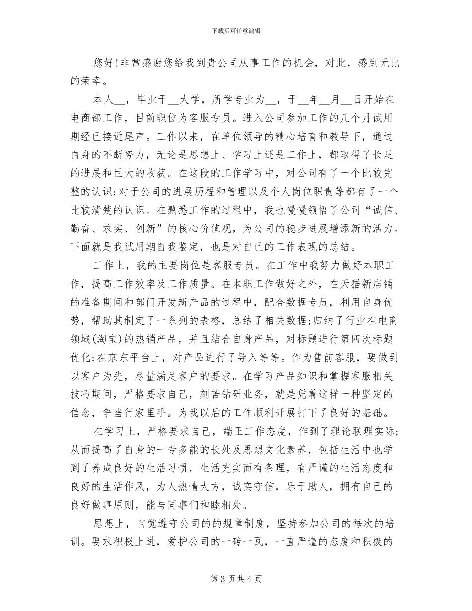 2024年客服专员试用期工作总结范文_第3页