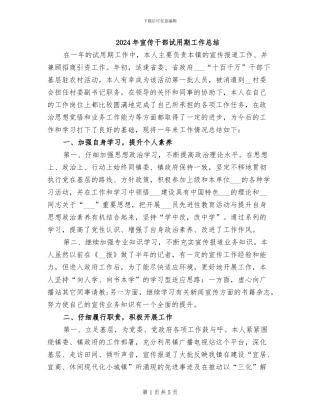 2024年宣传干部试用期工作总结