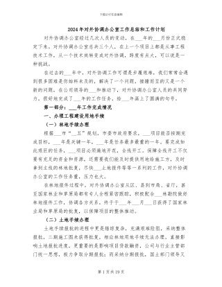 2024年对外协调办公室工作总结和工作计划