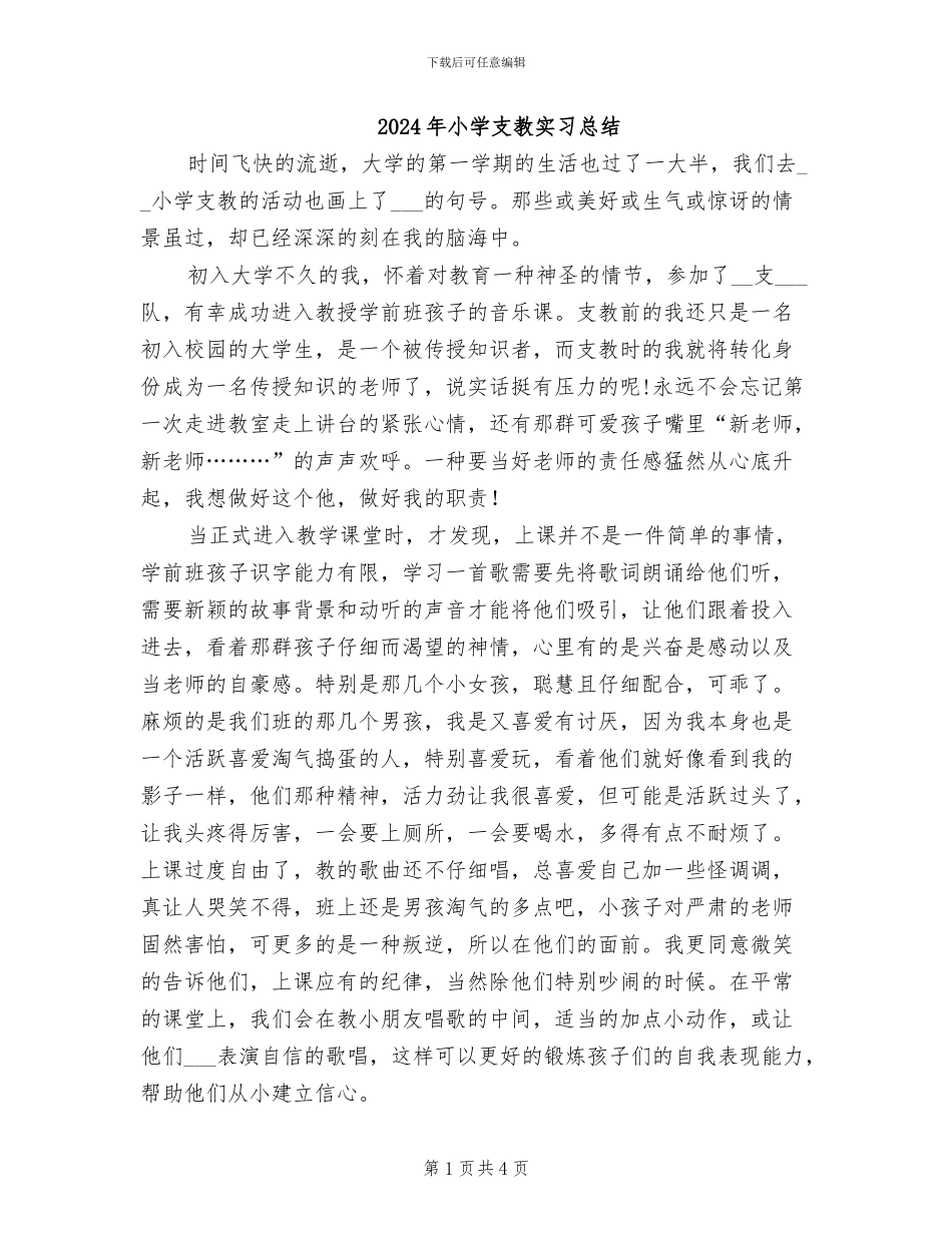 2024年小学支教实习总结_第1页