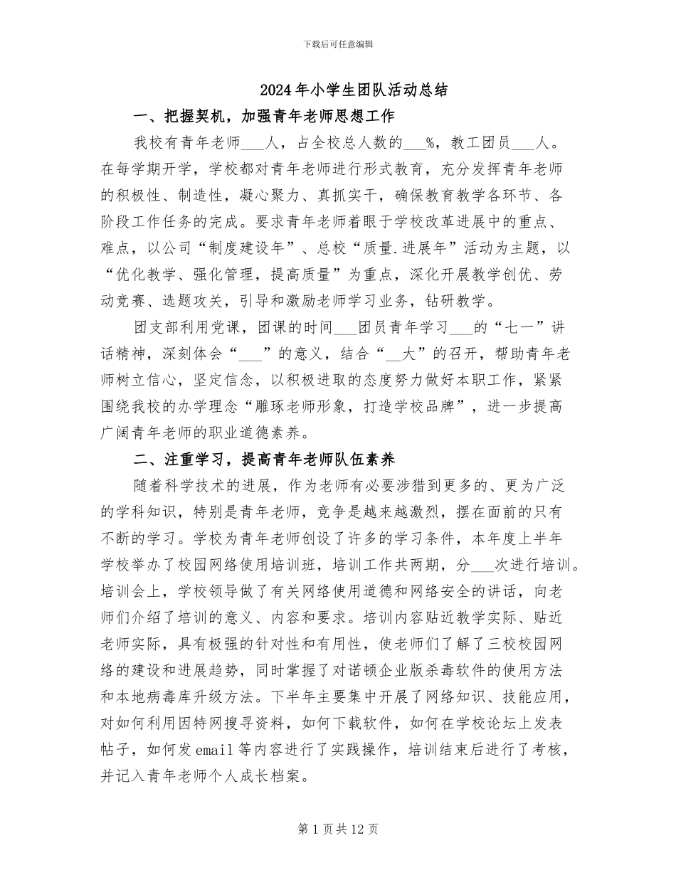 2024年小学生团队活动总结_第1页