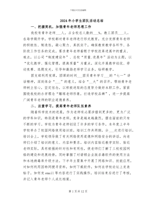 2024年小学生团队活动总结