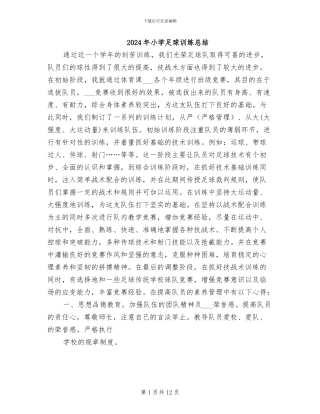 2024年小学足球训练总结