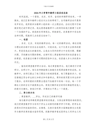 2024年小学青年教研小组活动总结