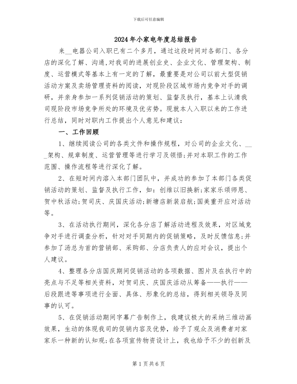 2024年小家电年度总结报告_第1页
