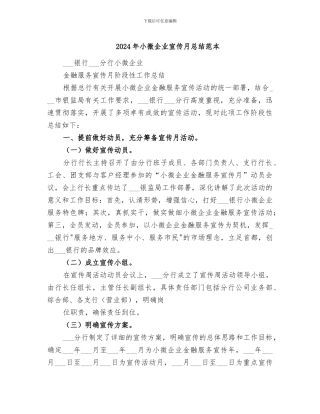 2024年小微企业宣传月总结范本