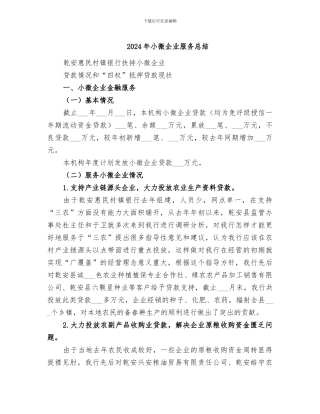 2024年小微企业服务总结