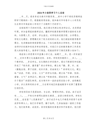 2024年小挂职学习个人总结