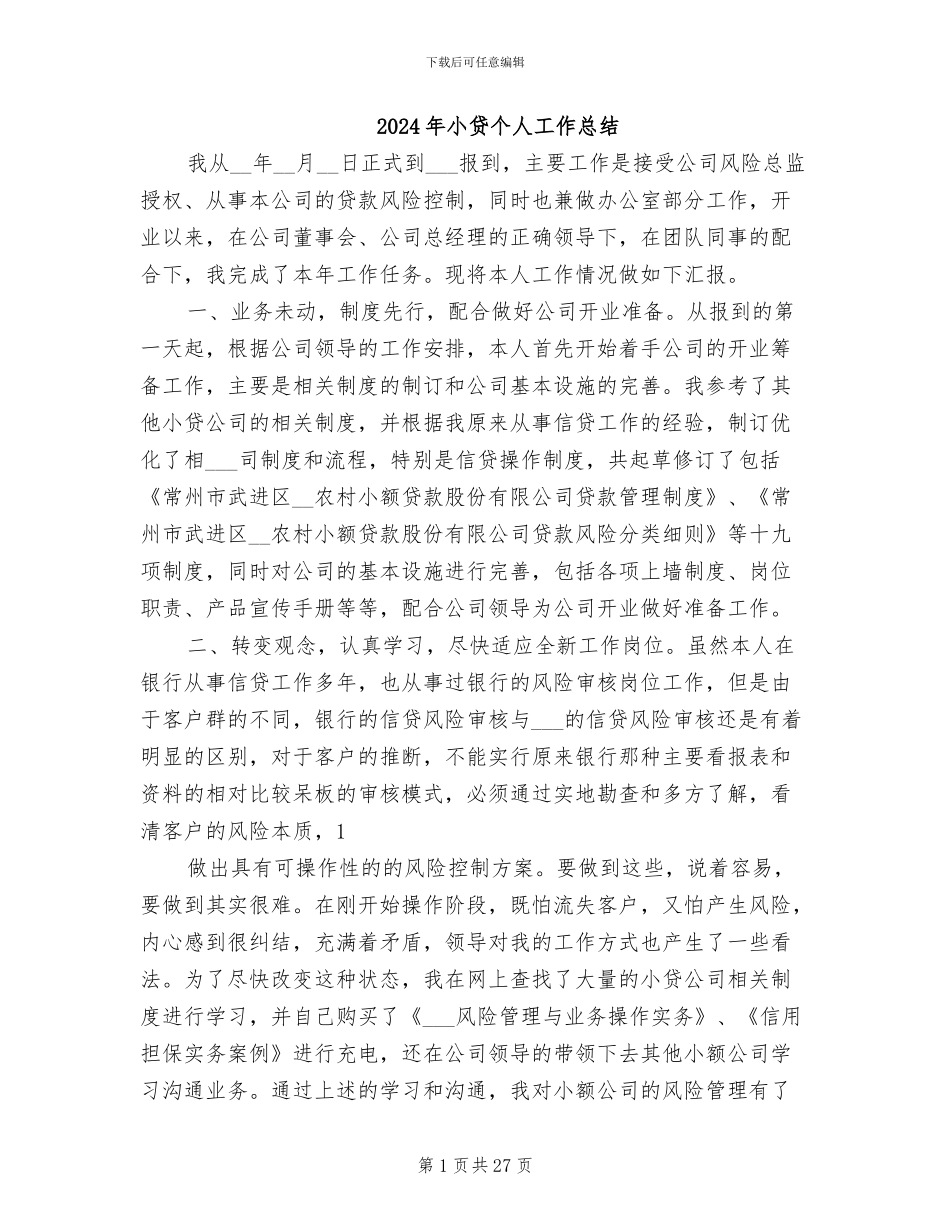 2024年小贷个人工作总结_第1页