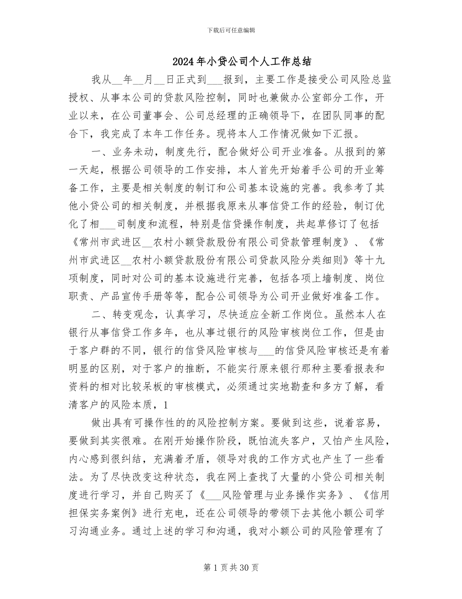 2024年小贷公司个人工作总结_第1页