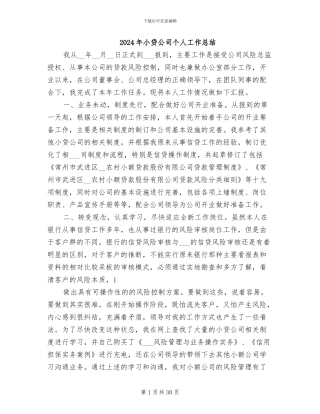 2024年小贷公司个人工作总结