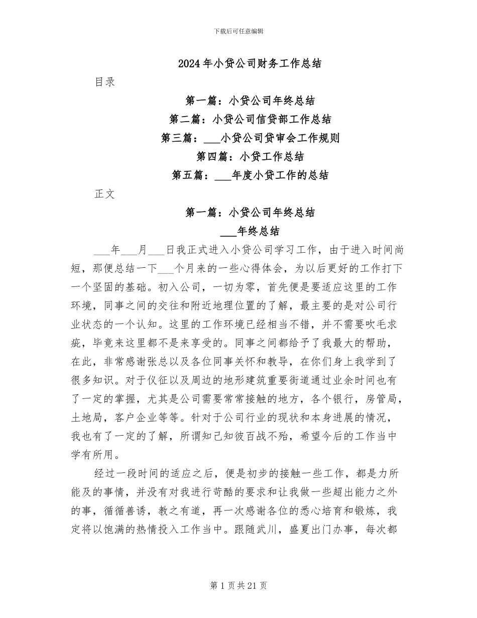 2024年小贷公司财务工作总结_第1页