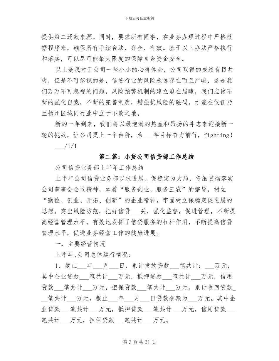 2024年小贷公司财务工作总结_第3页