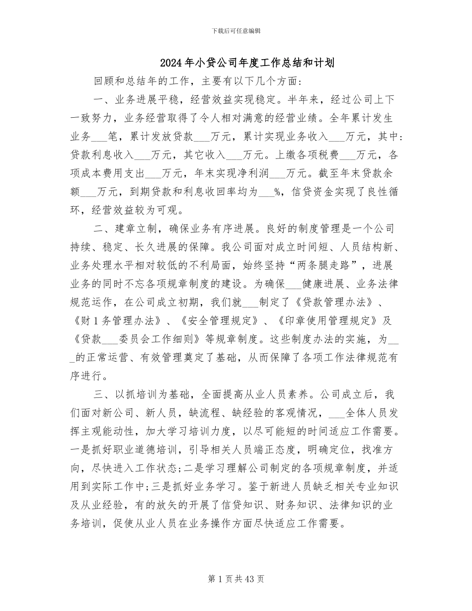 2024年小贷公司年度工作总结和计划_第1页