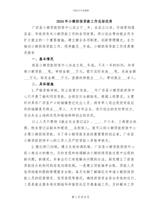 2024年小额担保贷款工作总结优秀