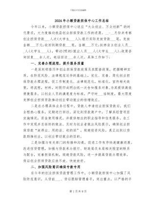 2024年小额贷款担保中心工作总结