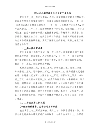 2024年小额贷款股份公司度工作总结