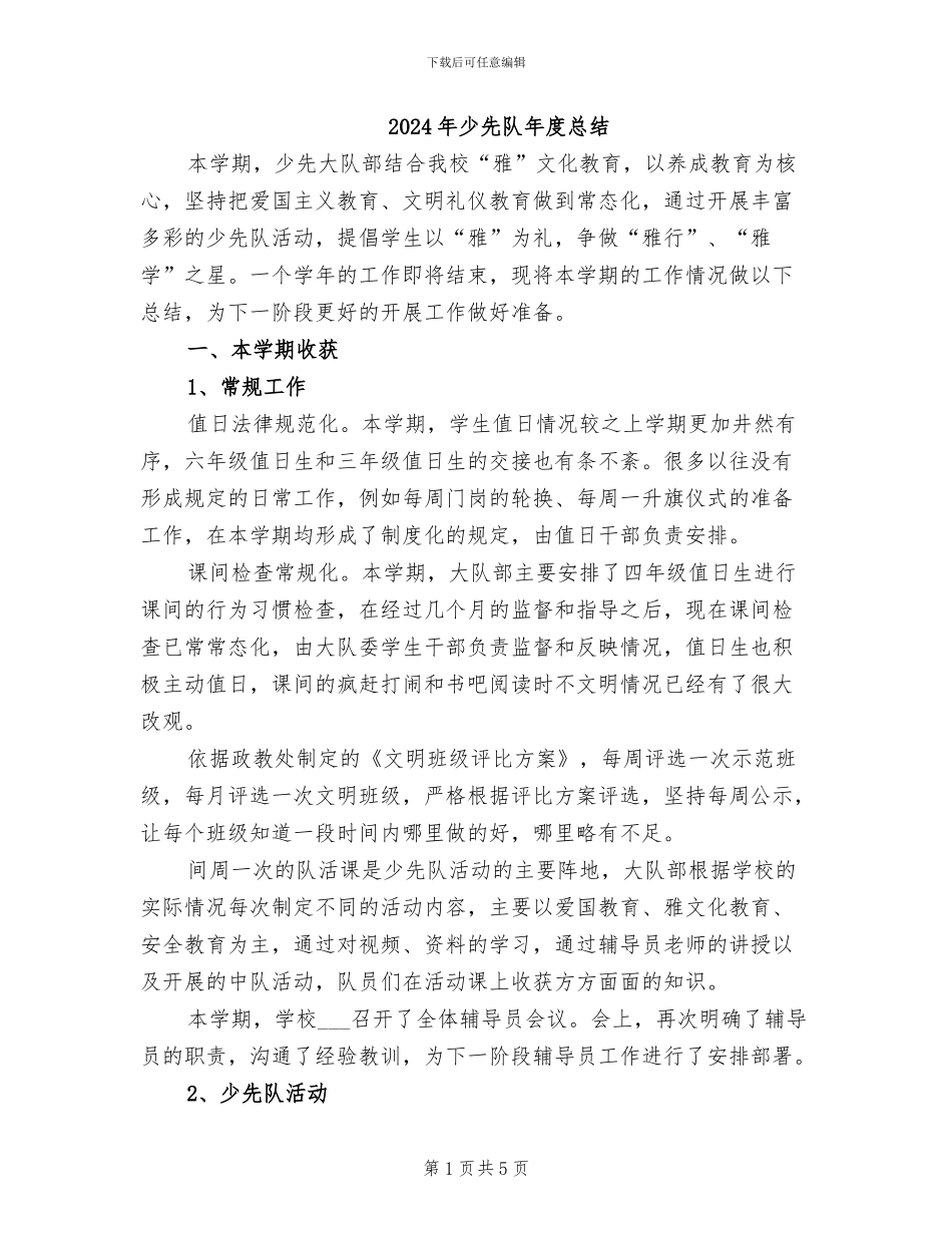 2024年少先队年度总结_第1页