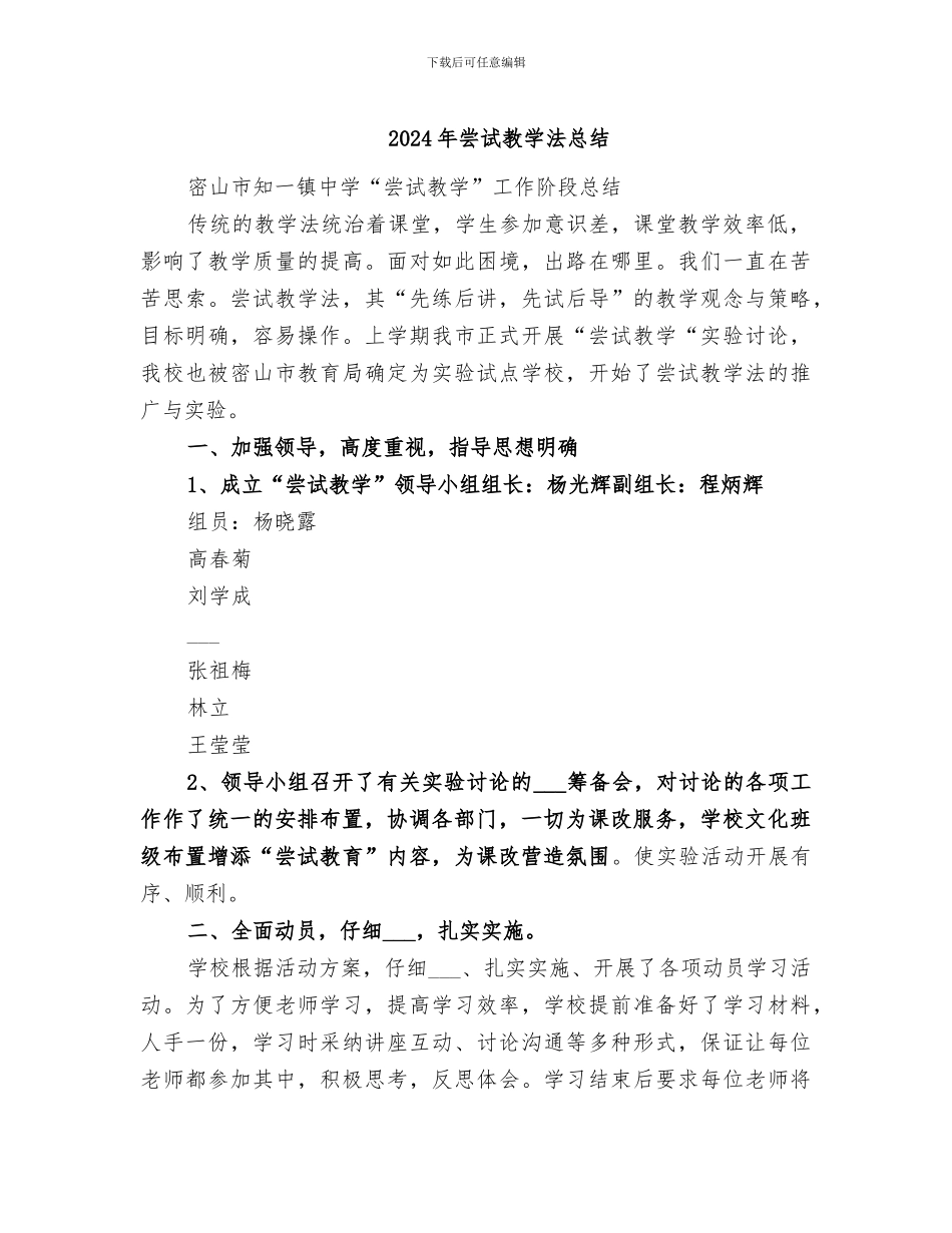 2024年尝试教学法总结_第1页