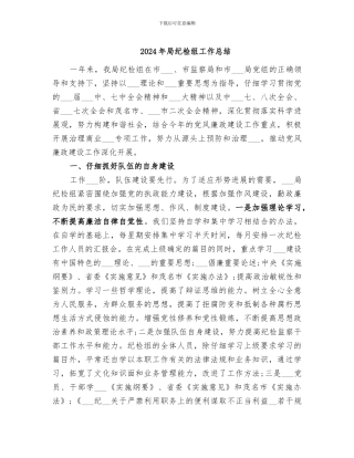 2024年局纪检组工作总结