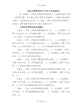 2024年局领导班子上半年工作总结范文