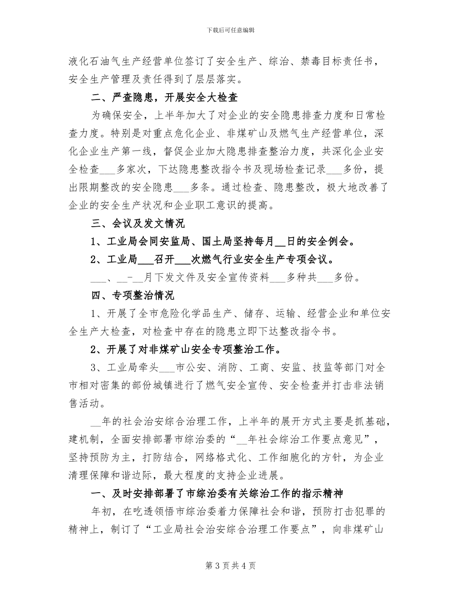 2024年工业局工作总结_第3页