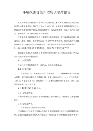 环境损害价值评估报告书