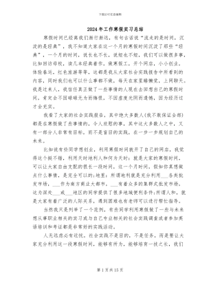 2024年工作寒假实习总结