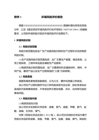 环境风险评价报告