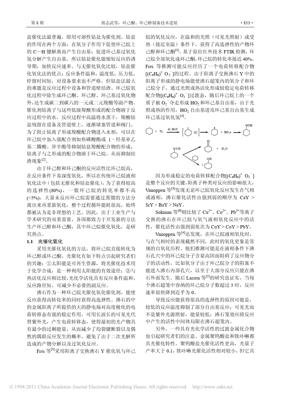 环己酮_环己醇制备技术进展_第2页