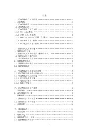 环己酮氨肟化反应器的设计