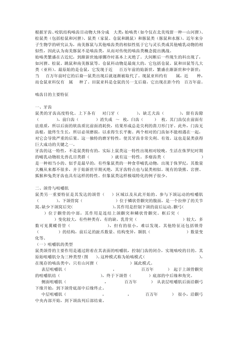 现代啮齿目动物的分类_第2页