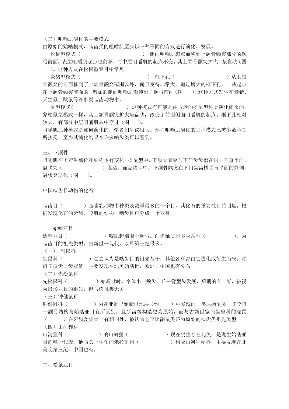 现代啮齿目动物的分类_第3页