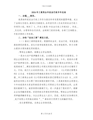 2024年工商局全年依法行政半年总结