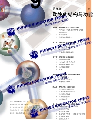 现代生物学导论9动物结构