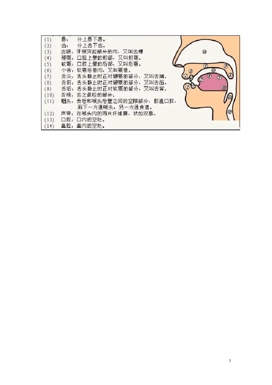 现代语言舌位图及口腔图_第3页