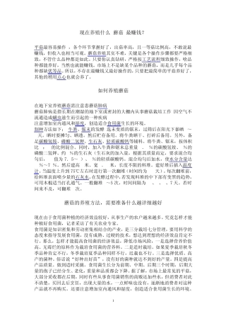 现在养殖什么蘑菇最赚钱